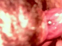 Thirdghost1 Licking Pussy