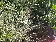 Amateur blowjob leads to doggy style fuck with cum in mouth in the bush. Bbw big tits chubby wife girlfriend enjoys outdoor public sex as cute hairy slut.