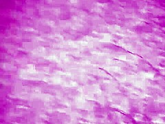 Wife craves thick long cock in her ass while husband watches the intense Indian fucking session unfold