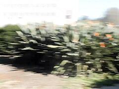 Caught Masturbating Boldly In Balboa Park San Diego With Shaved Pussy Exposed