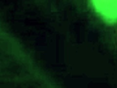 hey, is jaysmoothstokes really back and ready to perform again?