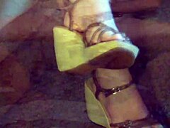 Housewife wife bets on mary in specific scenario