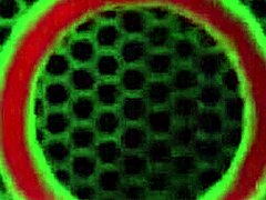 sara jay licks richelle ryans big clit during wet finger banging session