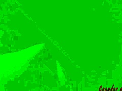 Si, Colombian action explodes!