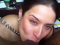 Madura sumisa gives a detailed blowjob in the scene