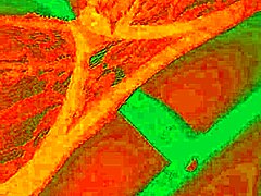 Exotic Colombian babe Bluee feels intense pleasure as her natural tits shake while getting pussy licked wildly.