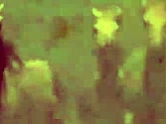 Worlds Greatest Erotic Story in Vintage Silent Movies with Hairy Mature Milf Pussy