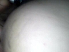 adorable doggie enjoys fun riding adventures