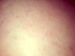 adorable doggie enjoys fun riding adventures