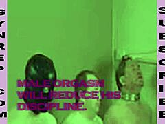 3 Reasons Males Avoid Orgasm Femdom Gynarchy Rules