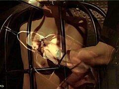 i'm your faithful slave, follwing my master on a leash to his nest for submission...