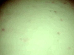 Gordinha gets pussy massage in hotel hydro and even on frigobar.