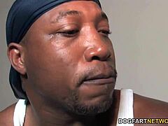 مغامرات فلور توتسي الكوغار مع BBC شديد في إكشن جماعي متوحش