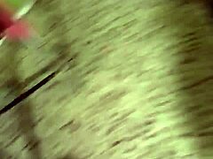 Merry Shemale Ecaterinax