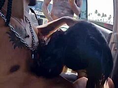 Oh wow, check out these young amateurs in a wild interracial 3some with a crossdressing Latina nerd pornstar teen in public daylight.