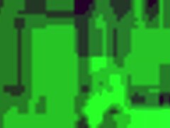 i'm an argentinian prostitute kneeling for blowjob