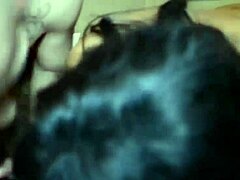 Strawberry Lulu and Shanice Love give double blowjob to Druffbandit with cumshot in interracial BBW scene