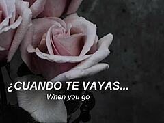 hey, check out mcr's i don't love you with spanish subs 😎