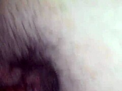 Rica cogida with amateurs bent over in hardcore action