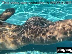 Naked Ebony Milf Ana Foxxx Fingering Her Hairy Black Pussy Outdoors Under the Water in Solo Masturbation Session