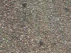 Craving Those Filthy Feet Tease