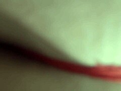 Big Booty SSBBW Latina Vicky Plush Sucks and Fucks BBC