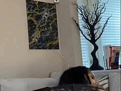 georgia lil baddie sucks cock then takes creampie fuck