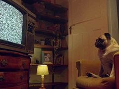 Mature Rachael Cavalli Masturbates Then Fucks Cameraman Wild