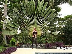 shemale tgirl gets her cock gangbanged hard by group