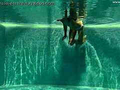 irina russaka's hot russian teen body underwater pool tease explodes!! 🔥💦