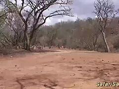 Rough African Maid Gangbang Interracial Threesome Lesson