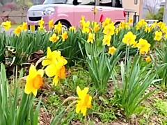 you’re joining my solo trip to gunma minakami’s natural hot springs right nacchi style