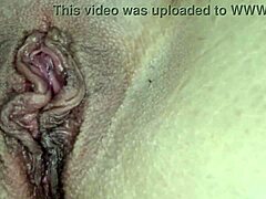 tall italian milf stuffs huge gummy candies deep in asshole for extreme anal insertion masturbation fetish