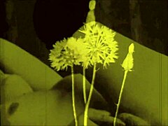 Vintage Erotic Art Features Sensual Retro Poses And Curves