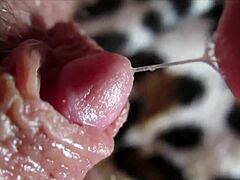 woman's huge clit throbs to squirting orgasm closeup
