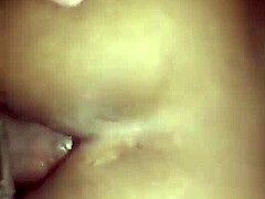 Latina's tasty tight asshole ready for pounding