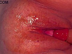 Amateur Japanese Wife's Shaved Pink Pussy Closeup 344 Days Post-Virginity Loss