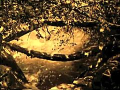 dark lantern swings into hairy lesbian gangbang orgy fun