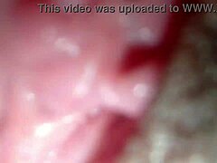 shaved mature pussy spread licked clit orgasms creampie explosion