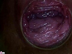 I can't stop watching the camera slide deep inside Paula Shy's shy wet vagina up close