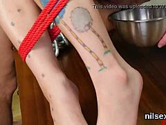 flirty sweetie wrecked in brutal anal asylum harsh ass treatment