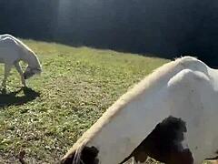 will these tats get me across the finish line? inked vibes only