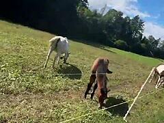 will these tats get me across the finish line? inked vibes only