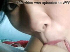 cock loving amateur girlfriend gives sloppy blowjob creampie