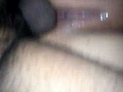 curvy latina fat ass pierced and tattooed