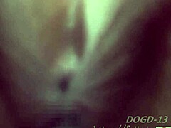 sniffing dog's erotic plump girl aya's asshole fetish closeup