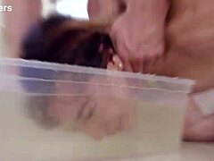 Brazilian francys belle 5on1 atm dap gapes pee drink squirt swallow