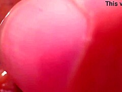 Amateur Japanese Wife's Shaved Pussy Close-Up 343 Days Post-Virginity