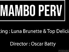 cute brazilian luna's perfect body takes bbc anal atm with dirty talk no pussy