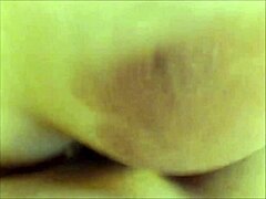 Shemale Trannies Pound Asses in Wild Doggystyle